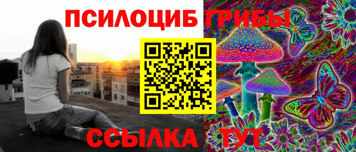 Галлюциногенные грибы прущие грибы Шебекино