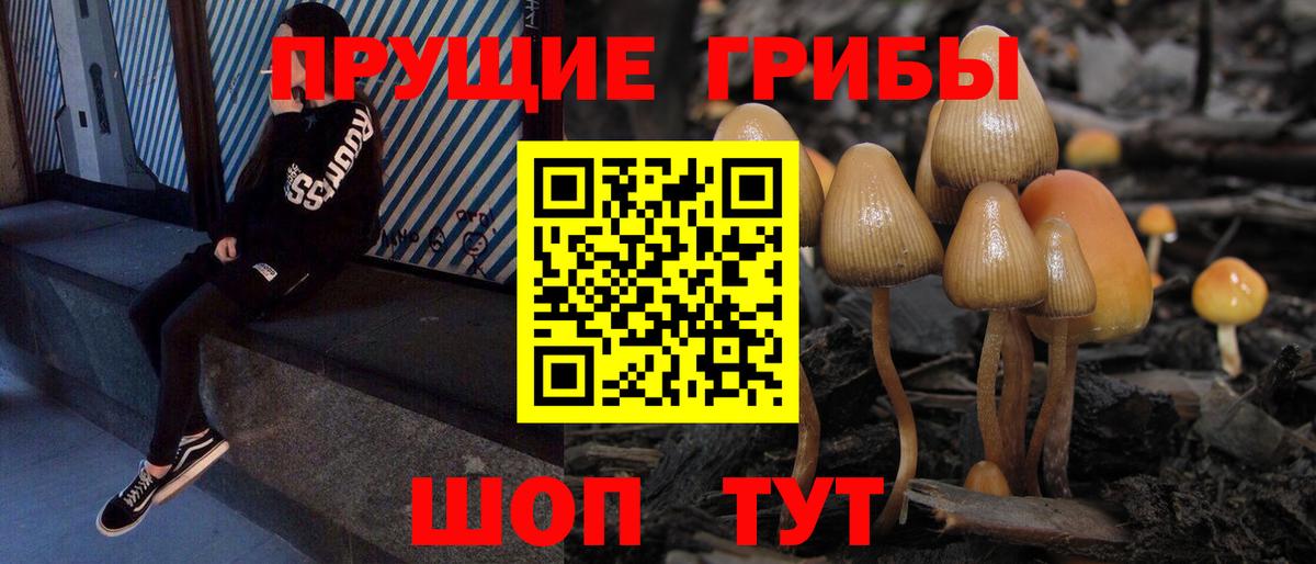 Галлюциногенные грибы мицелий  где купить наркоту  Шебекино 