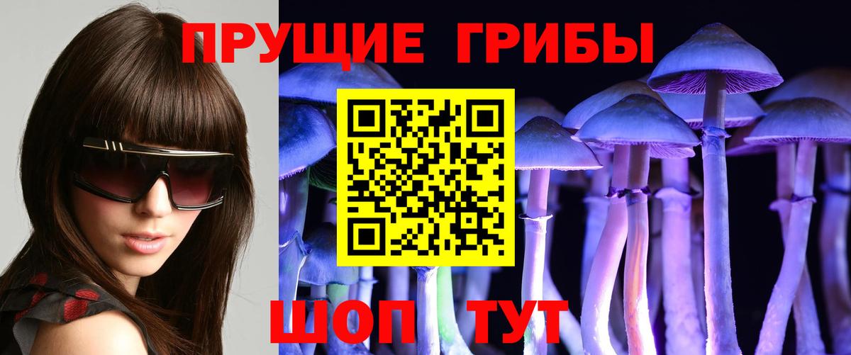наркота  Галлюциногенные грибы MAGIC MUSHROOMS  Вход с VPN  Шебекино 