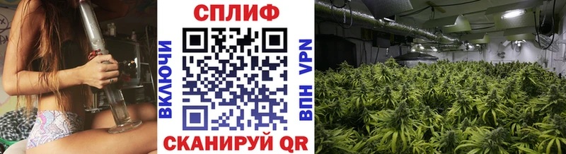Бошки марихуана ГИДРОПОН  kraken   Шебекино 