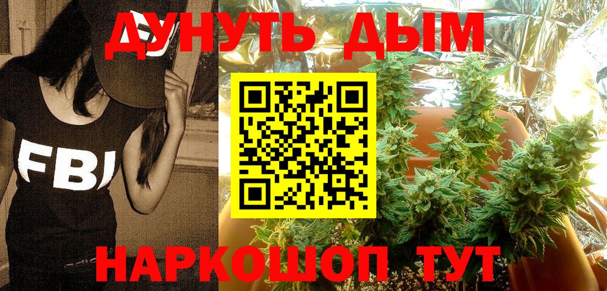 Конопля OG Kush Шебекино